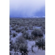 USA, Flooded Sagebrush; Oregon, High Desert During Thunderstorm Poster Print (22 x 34)