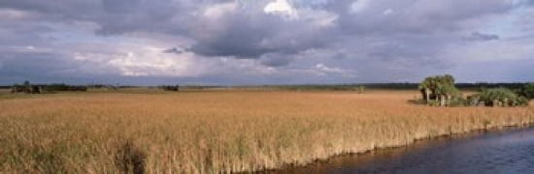 USA Florida Big Cypress National Preserve along Tamiami Trail Everglades National Park Canvas Art - Panoramic Images (18 x 6)