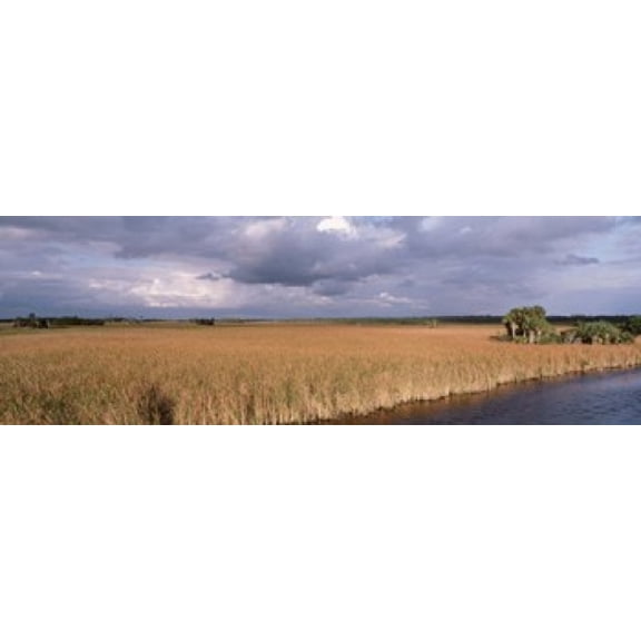 USA Florida Big Cypress National Preserve along Tamiami Trail Everglades National Park Canvas Art - Panoramic Images (36 x 12)