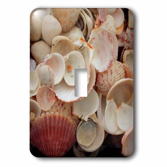 3dRose, USA, Florida. Close up of shells on Santa Rosa beach., single toggle switch