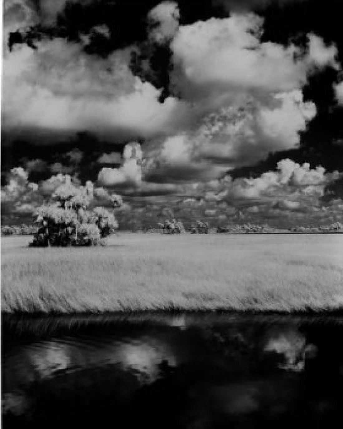 USA Florida Everglades National Park Clouds reflecting in swamp Canvas Art - (24 x 36)