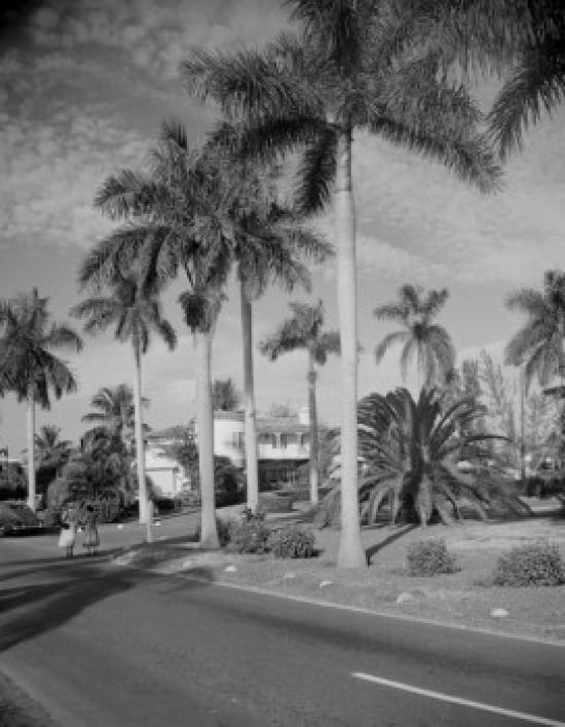 USA Florida Fort Lauderdale Canvas Art - (18 x 24)