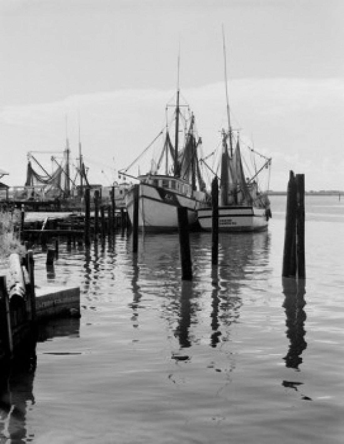 USA Florida Fort Meyers shrimp boats Canvas Art - (24 x 36)