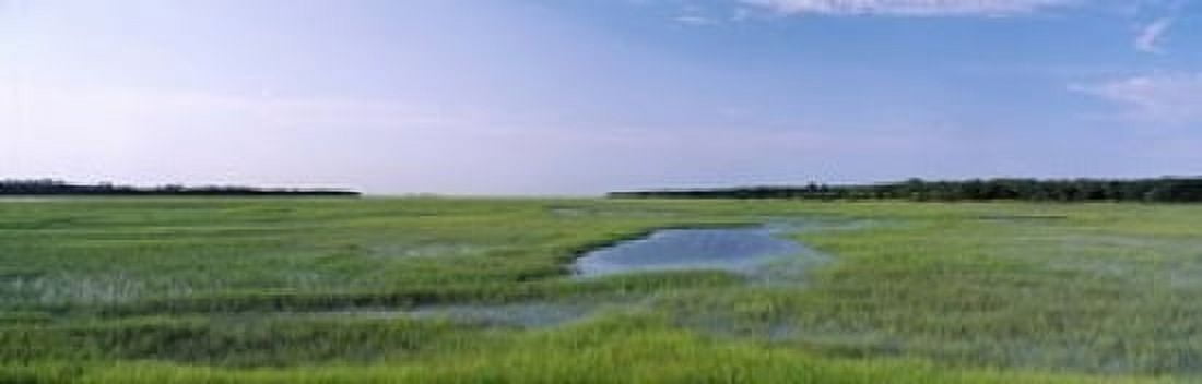 USA Florida Jacksonville Atlantic Coast Salt Marshes Canvas Art - Panoramic Images (18 x 6)