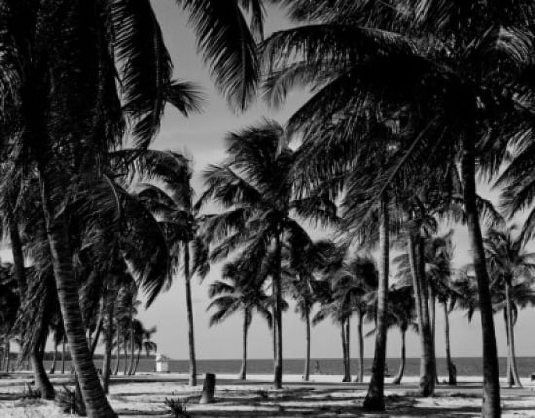 USA Florida Key Biscane Crandon Beach Park Canvas Art - (24 x 36)