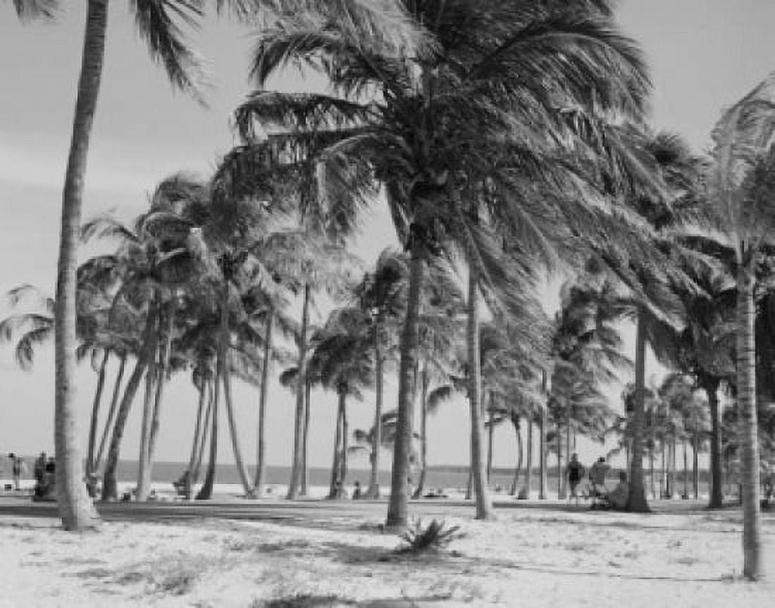 USA Florida Key Biscayne Crandon Beach Parkway Canvas Art -  (24 x 36)