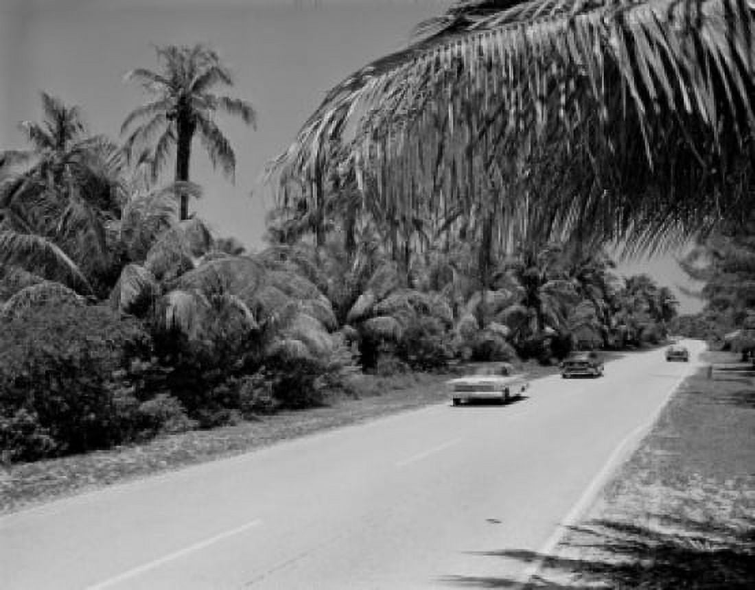 USA Florida Miami Crandon Blvd on Key Biscayne Canvas Art - (18 x 24)