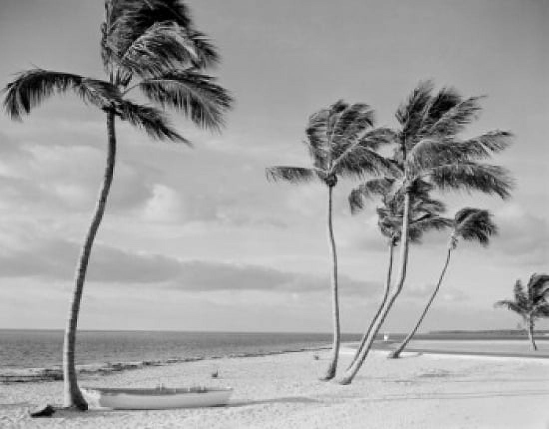 USA Florida Miami Lifeboat and palm trees on Crandon Beach Canvas Art - (18 x 24)