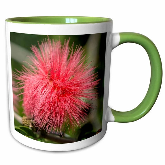 USA, Florida, New Smyrna Beach, Calliandra, Powder Puff Plant. 11oz Two-Tone Green Mug mug-208222-7