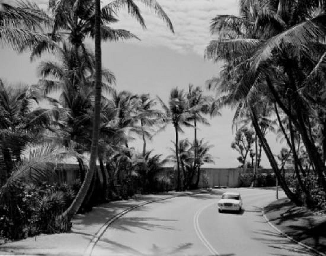 USA Florida Palm Beach Highway A1A Canvas Art -  (18 x 24)