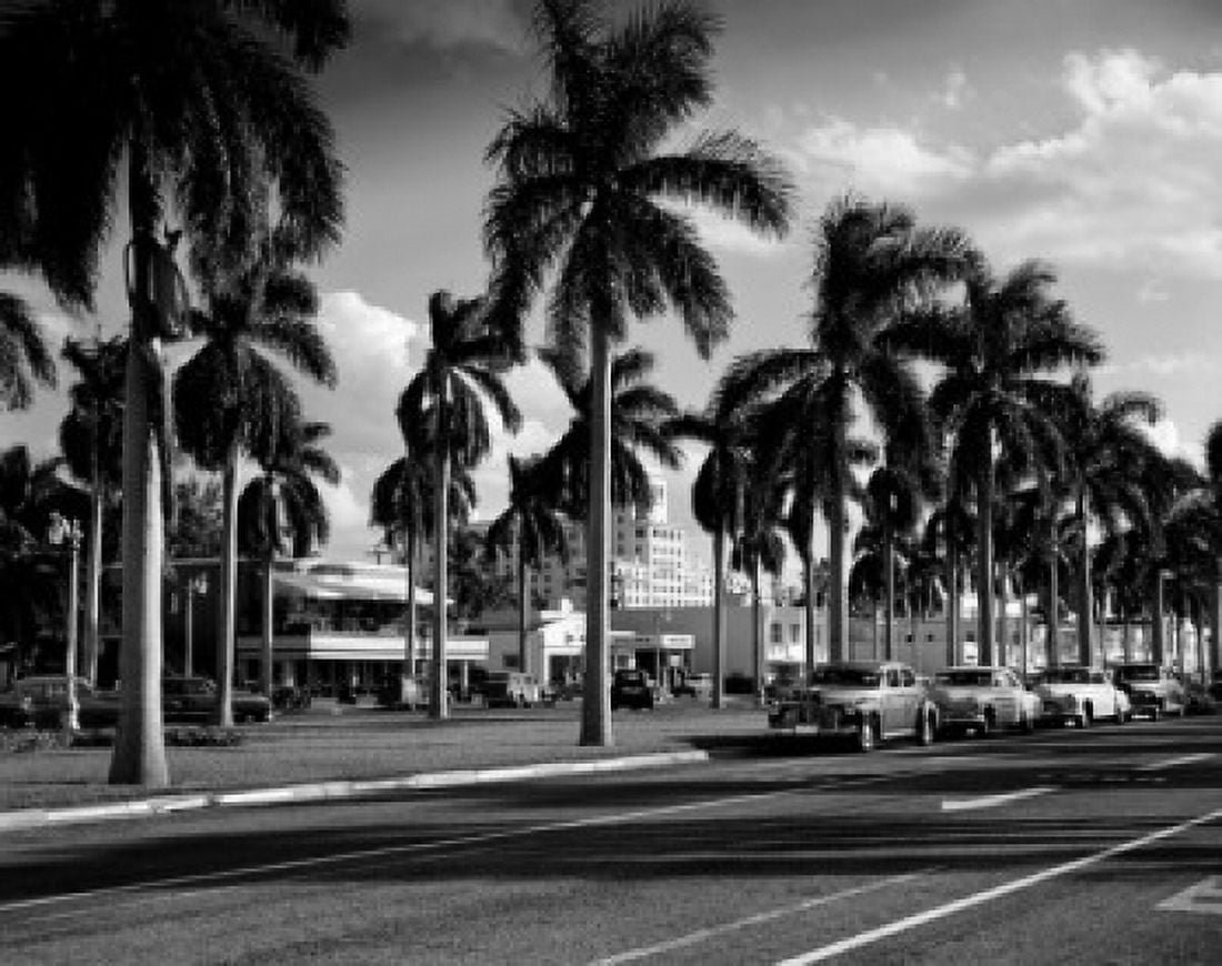 USA Florida Palm Beach Palm trees along street Canvas Art - (18 x 24)
