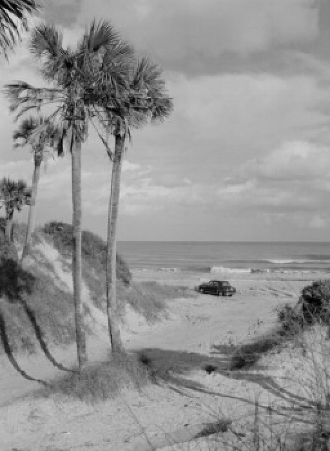 USA Florida Ponte Vedra Beach Canvas Art - (24 x 36)