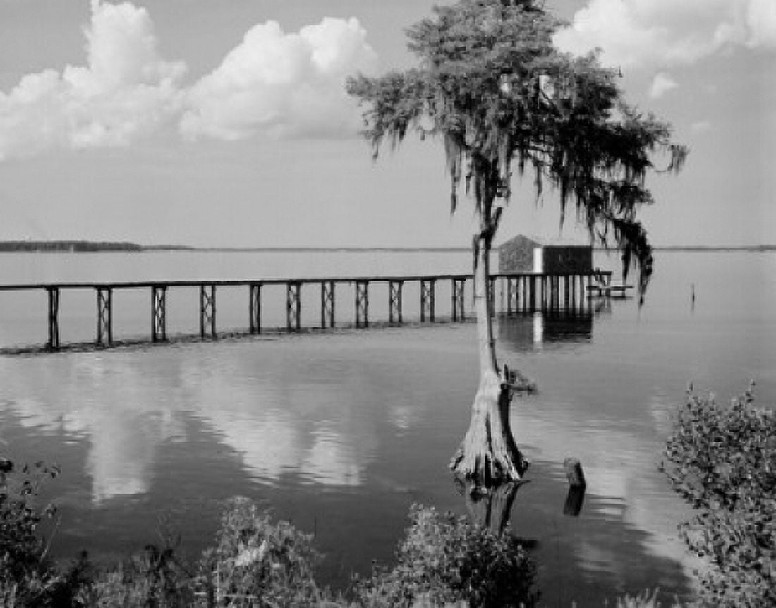 USA Florida St Johns River at Orange Park Canvas Art - (18 x 24)