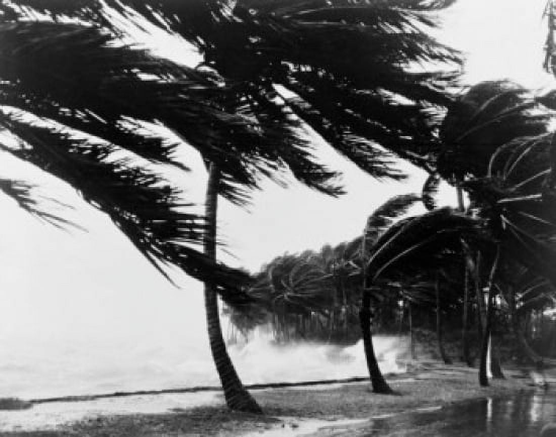 USA Florida hurricane Canvas Art - (24 x 36)