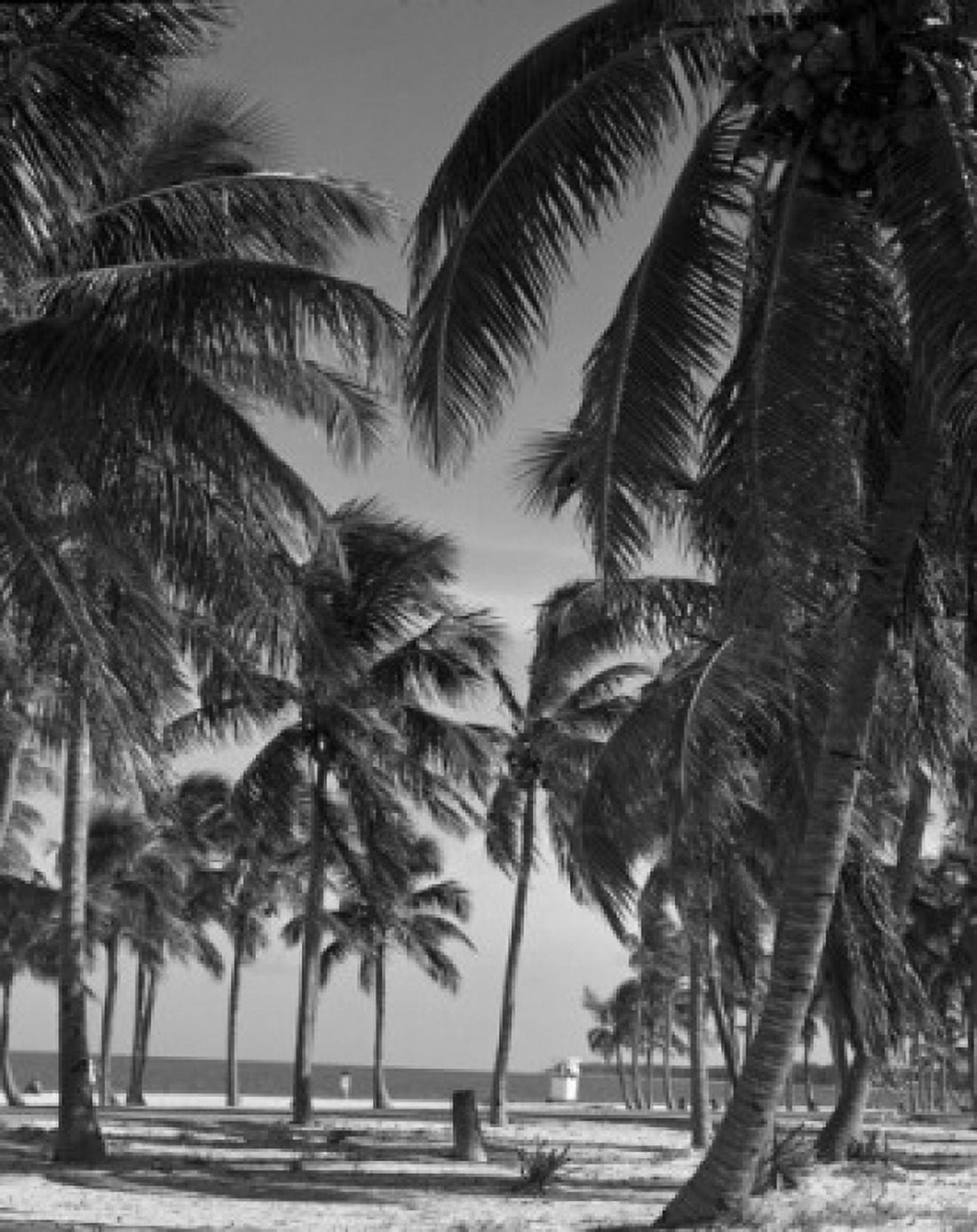 USA Florida near Miami Key Biscane Canvas Art - (24 x 36)
