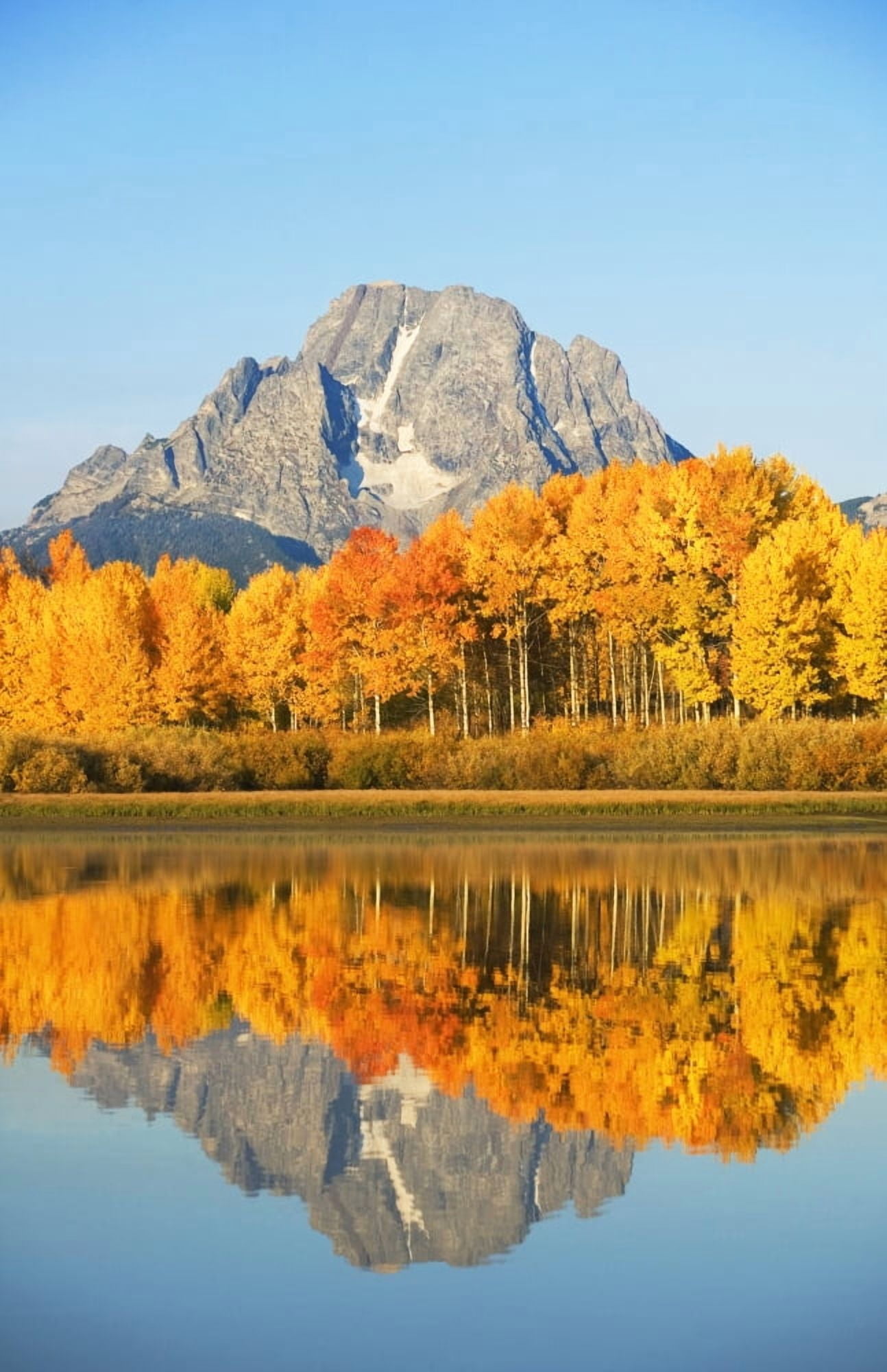USA Grand Teton National Park Wyoming Mount Moran In Distance Landscape Of Oxbow Bend On Snake River Canvas Art - Ron Dahlquist Design Pics (22 x 34)
