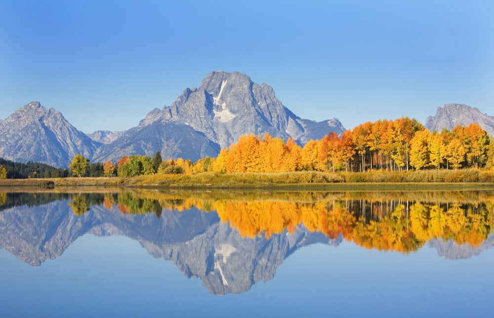 USA Grand Teton National Park Wyoming Mount Moran In Distance Landscape Of Oxbow Bend On Snake River Canvas Art - Ron Dahlquist Design Pics (34 x 22)