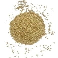 thumbnail image 1 of USA Grown Organic Buckwheat Groats,Non-GMO, Raw, Vegan, Bulk, Hulled (10LB), 1 of 5