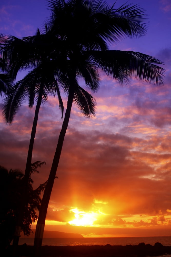 USA Hawaii Beautiful Sunset Oahu Canvas Art - Vince Cavataio Design Pics (12 x 19)