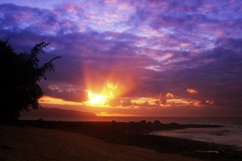 USA Hawaii Beautiful Sunset Oahu Canvas Art - Vince Cavataio Design Pics (19 x 12)