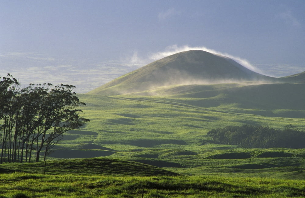 USA Hawaii Big Island pasture and grassy hill covered with fog at Parker Ranch Waimea Trees Canvas Art - Greg Vaughn Design Pics (18 x 11)