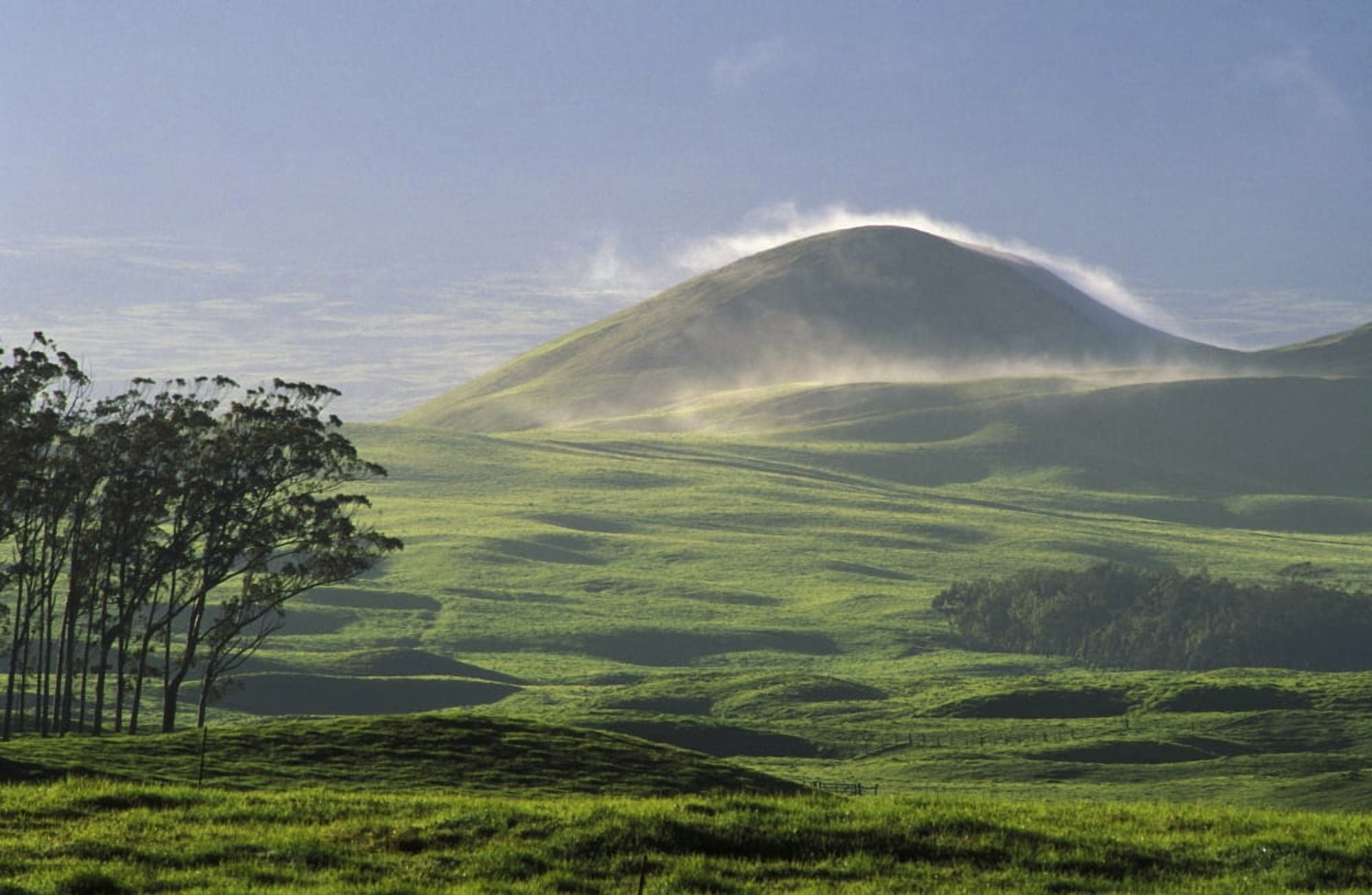 USA Hawaii Big Island pasture and grassy hill covered with fog at Parker Ranch Waimea Trees Canvas Art - Greg Vaughn Design Pics (36 x 22)