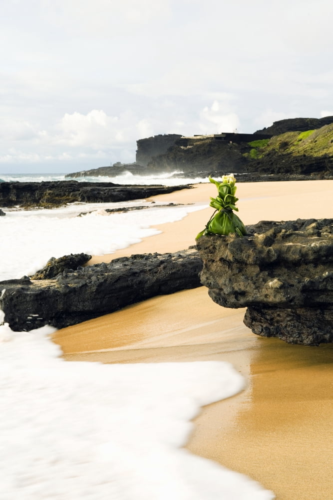 USA Hawaii Hawaiian offering on rock at shoreline Oahu Sandy beach Canvas Art - Dana Edmunds  Design Pics (11 x 17)