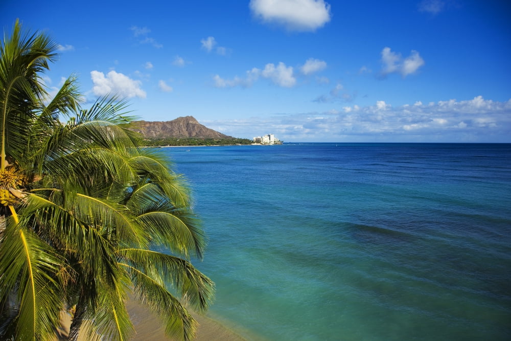 USA Hawaii Honolulu View of Diamond Head Waikiki Canvas Art - Dana Edmunds Design Pics (34 x 22)