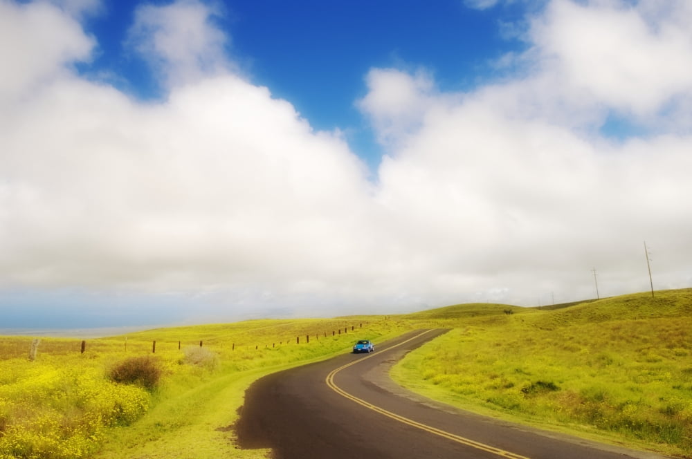 USA Hawaii Islands Big Island Car driving down Saddle Road curving through rolling grass hills near Waikii Ranch South Kohala Canvas Art - Greg Vaughn Design Pics (34 x 22)