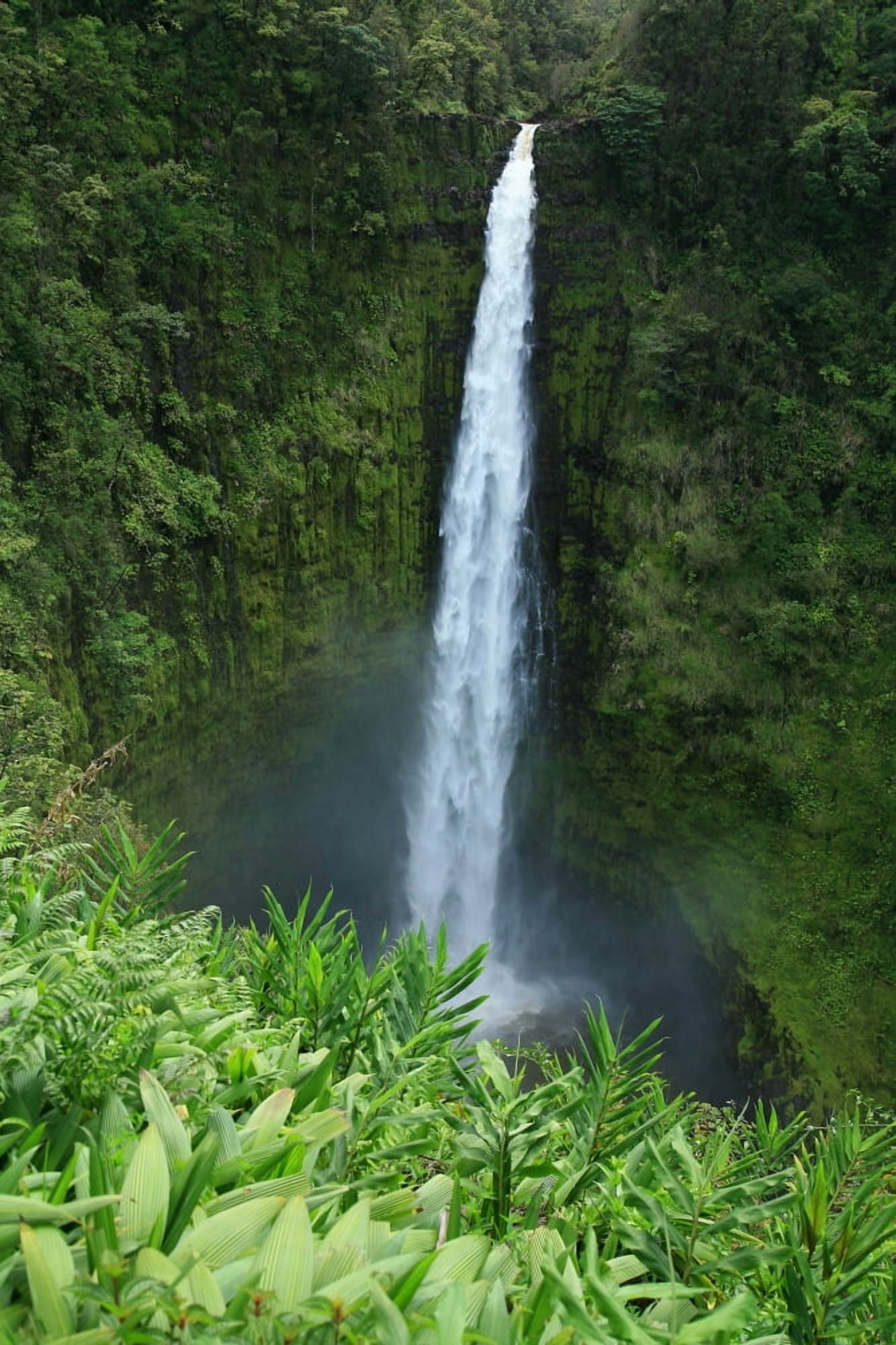 USA Hawaii Islands Big Island View Of Misty Falls Akaka Falls State Park Canvas Art - Peter French Design Pics (22 x 34)
