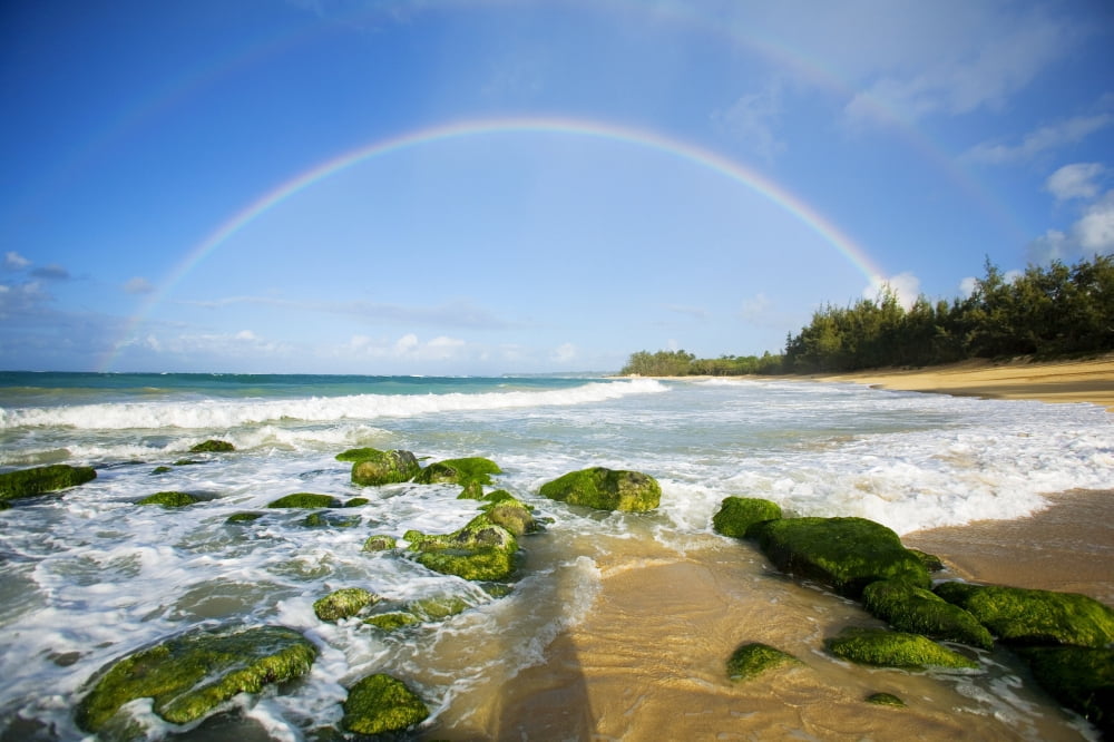USA Hawaii Islands Maui Double Rainbows Baldwin Beach Canvas Art - Ron Dahlquist Design Pics (17 x 11)