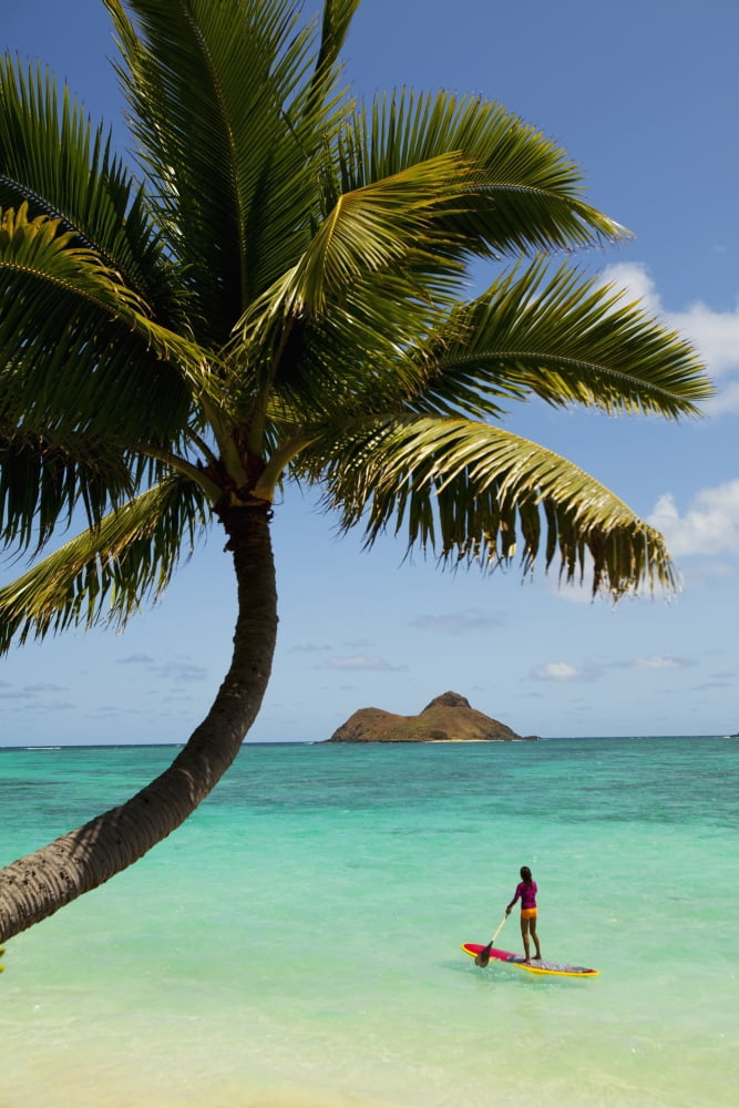 USA Hawaii Islands Oahu Female Stand Up Paddler On Her Way To Mokulua Islands Lanikai Beach Canvas Art - Dana Edmunds Design Pics (12 x 19)
