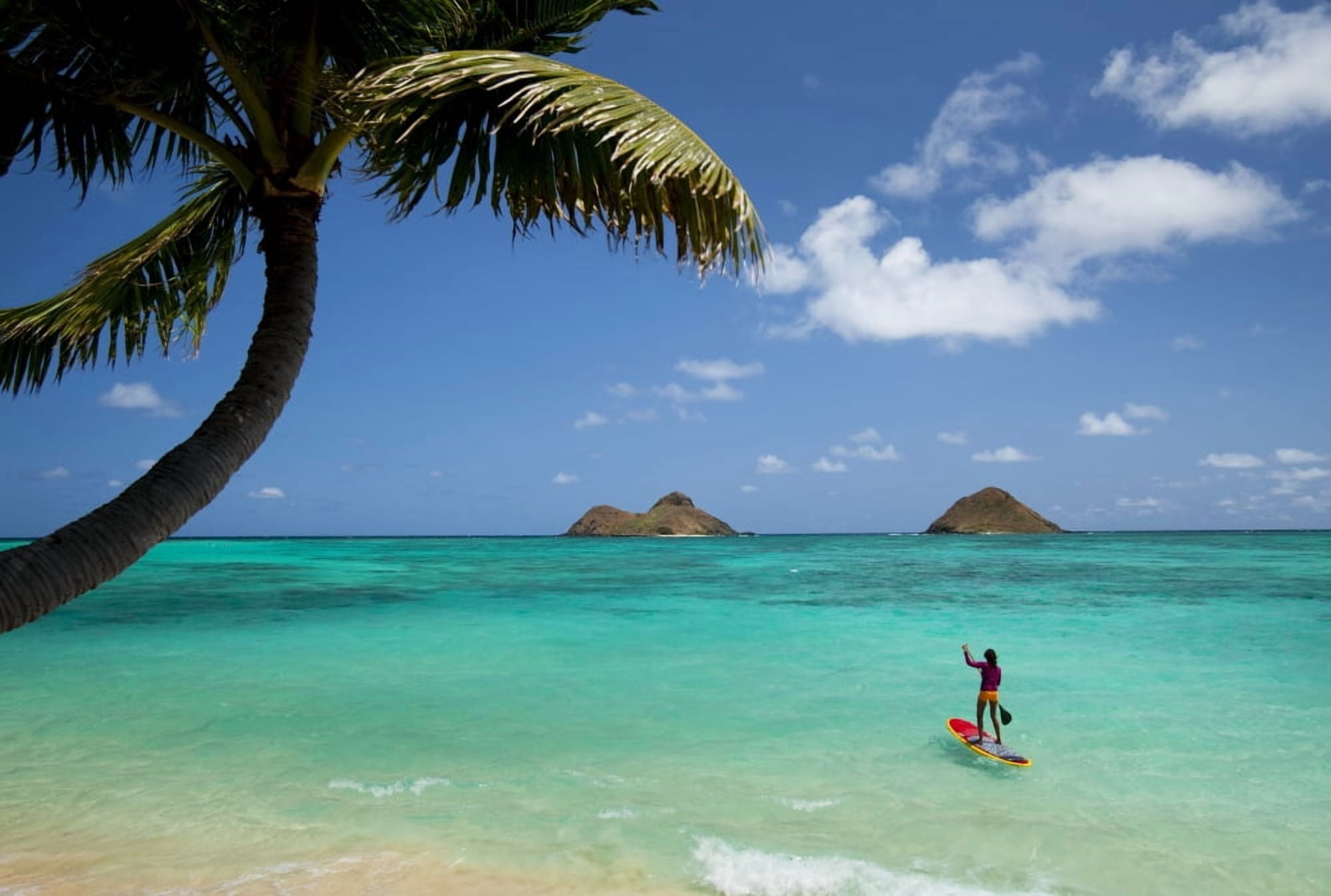 USA Hawaii Islands Oahu Female Stand Up Paddler On Her Way To Mokulua Islands Lanikai Beach Canvas Art - Dana Edmunds Design Pics (17 x 12)