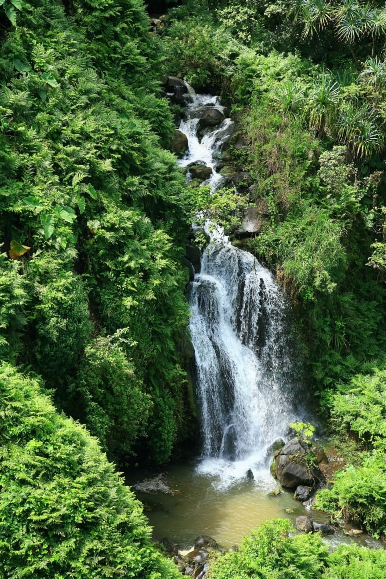 USA Hawaii Islands One of many waterfalls along Hamakua Coast with water cascading into pond Big Island Canvas Art - Peter French Design Pics (11 x 17)