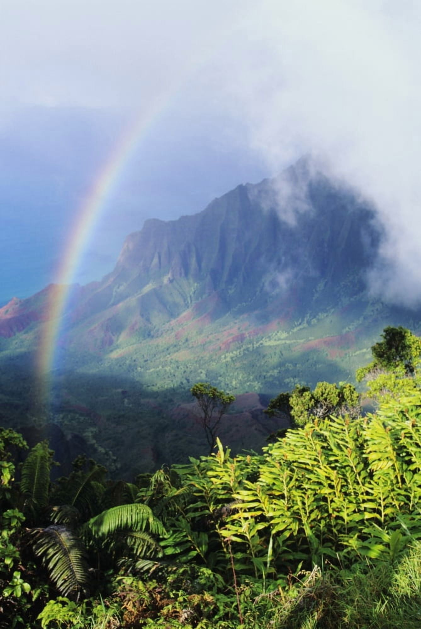 USA Hawaii Kauai Kalalau Valley viewpoint in Kokee State Park with rainbow Na Pali Coast Canvas Art - Brent Black Design Pics (11 x 17)