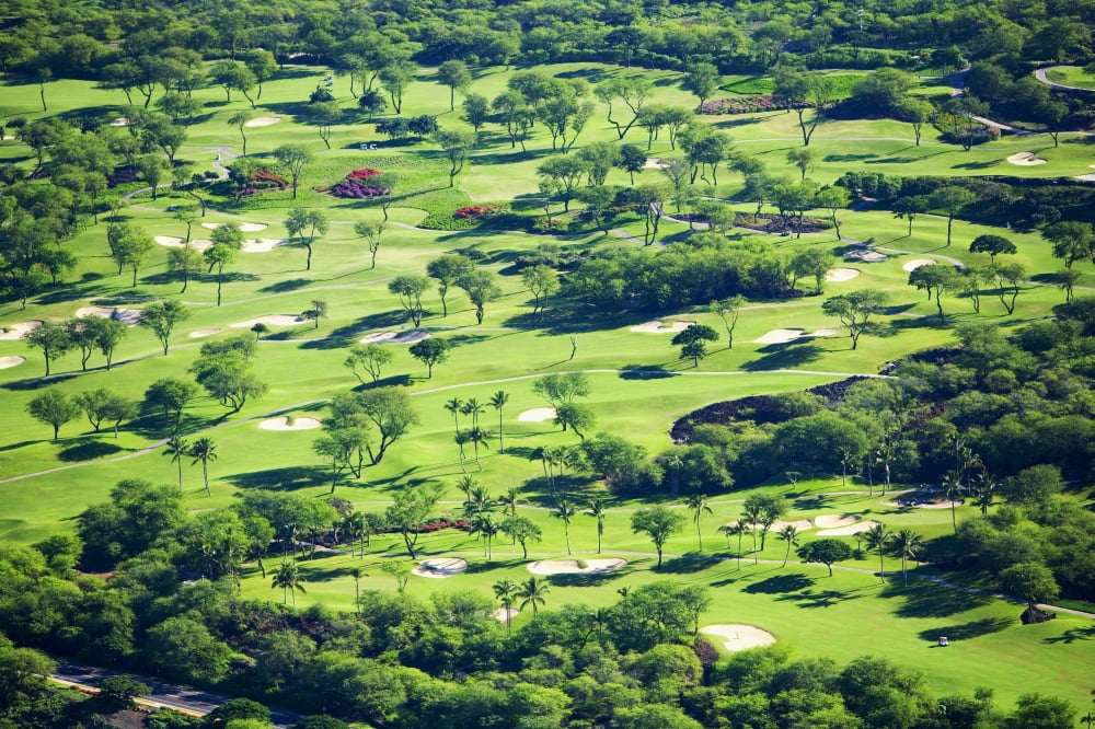 USA Hawaii Maui Aerial Of Wailea Gold And Emerald Golf Courses Wailea Canvas Art - Ron Dahlquist Design Pics (17 x 11)