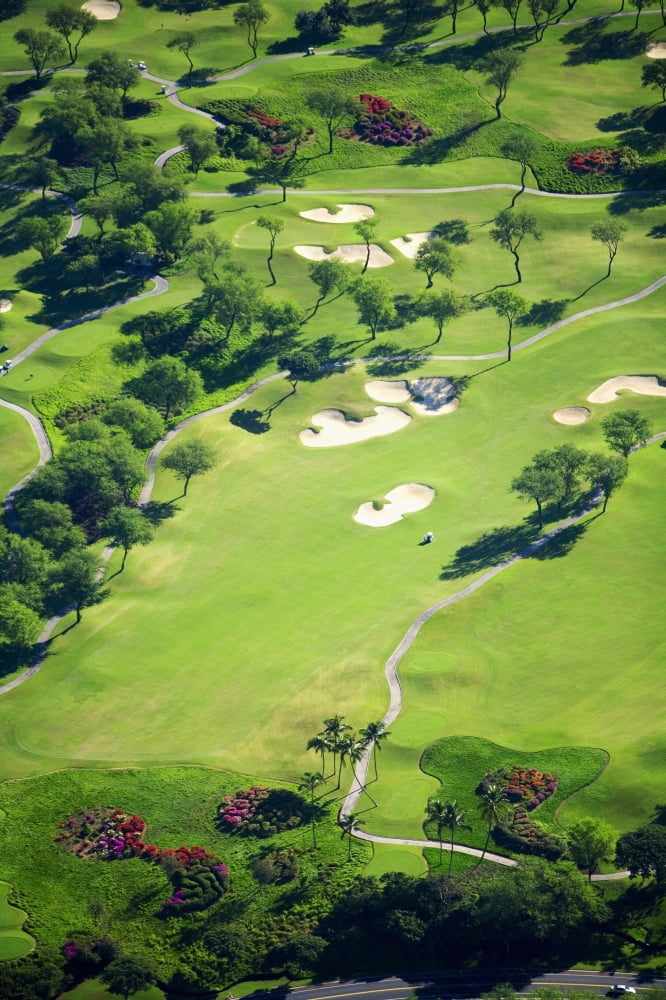 USA Hawaii Maui Aerial Of Wailea Gold And Emerald Golf Courses Wailea Canvas Art - Ron Dahlquist Design Pics (22 x 34)