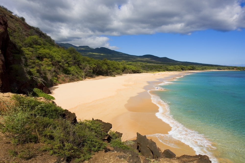 USA Hawaii Maui Elevated view of Oneloa or Big Beach Makena State Park Canvas Art - Ron Dahlquist Design Pics (34 x 22)