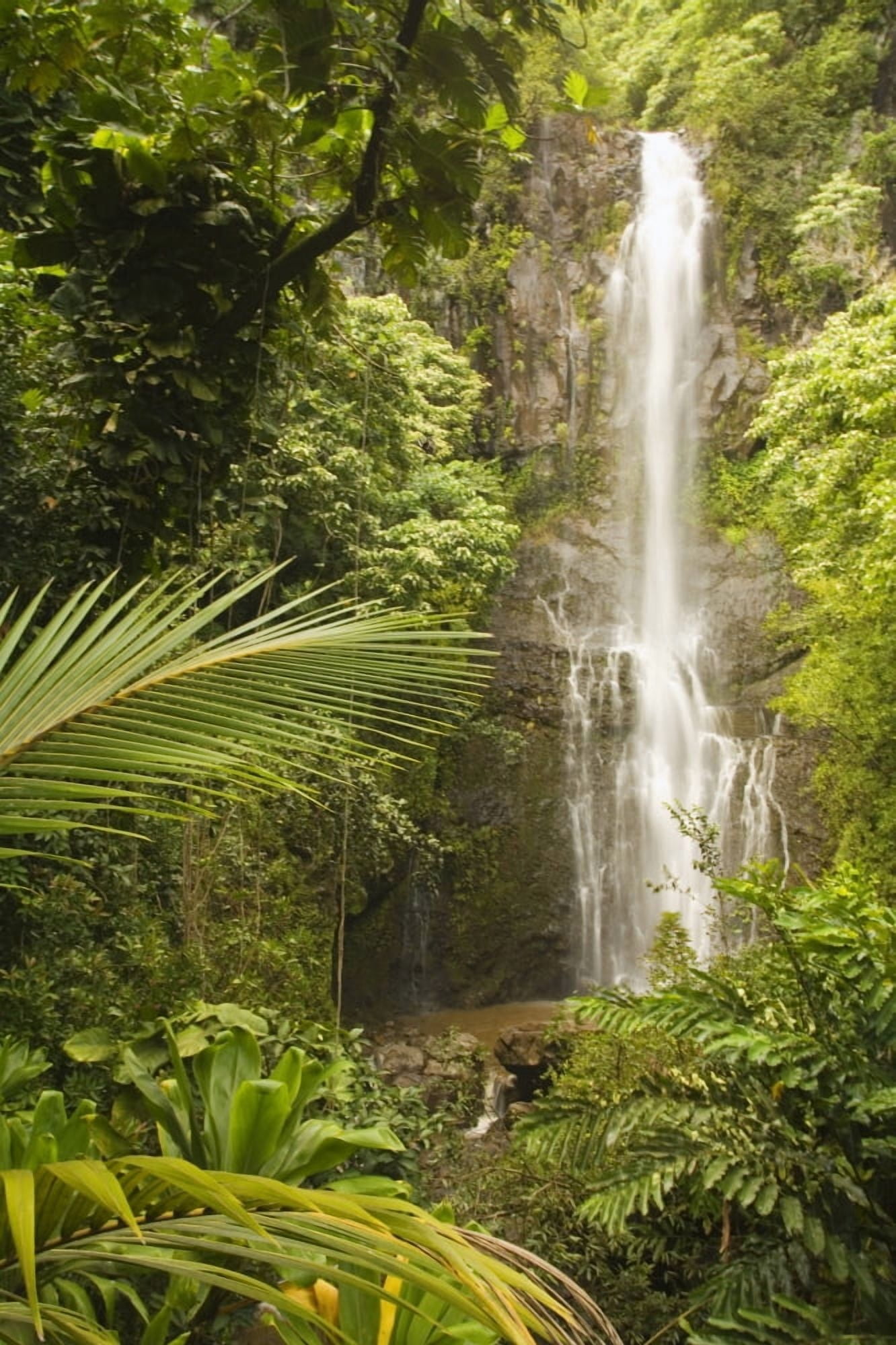 USA Hawaii Maui Kipahulu Wailua Falls surrounded by foliage Hana Coast Canvas Art - Ron Dahlquist Design Pics (22 x 34)
