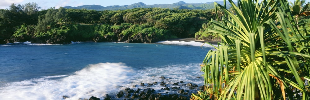 USA Hawaii Maui Lauhala Tree In Foreground Hana Waianapanapa State Park Black Sand Beach Canvas Art - Carl Shaneff Design Pics (29 x 9)