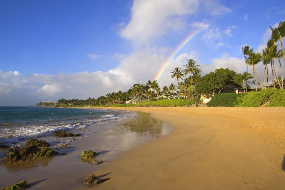 USA Hawaii Maui Rainbow over palm trees and Keawakapu Beach Kihei Canvas Art - Ron Dahlquist Design Pics (17 x 11)