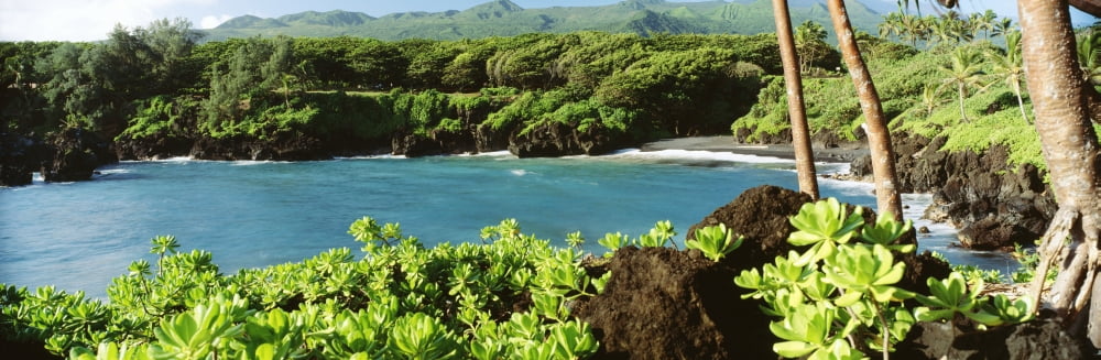 USA Hawaii Maui Waianapanapa State Park Hana Black Sand Beach And Lush Greenery Canvas Art - Carl Shaneff  Design Pics (36 x 12)