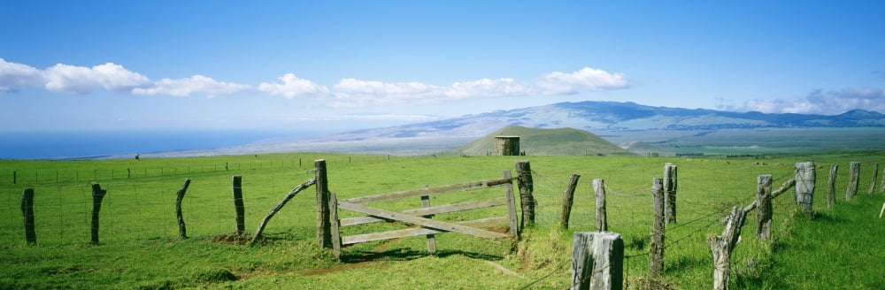 USA Hawaii Mauna Kea In Background Big Island Country Landscape With Pasture And Wooden Fence Kamuela Canvas Art - David Cornwell Design Pics (29 x 9)