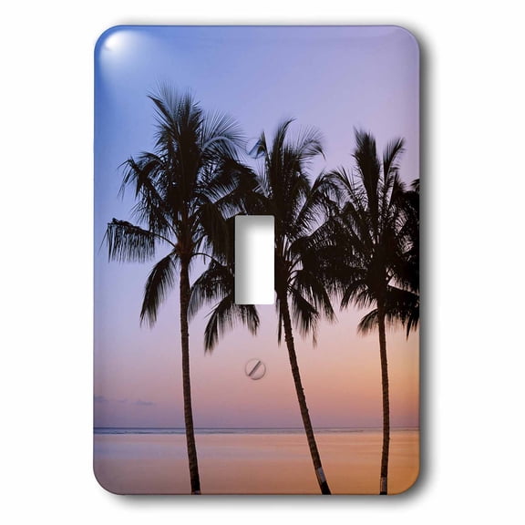 3dRose, USA, Hawaii, Molokai. palm tree, morning. , single toggle switch