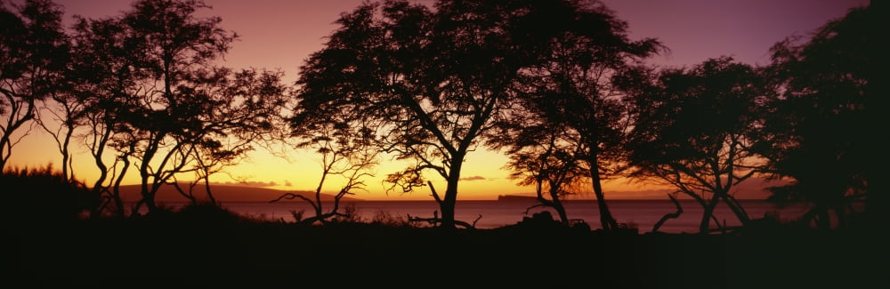USA Hawaii Molokini Island In Distance Maui Trees Silhouetted On West Maui Shoreline Canvas Art - Bill Schildge Design Pics (29 x 9)