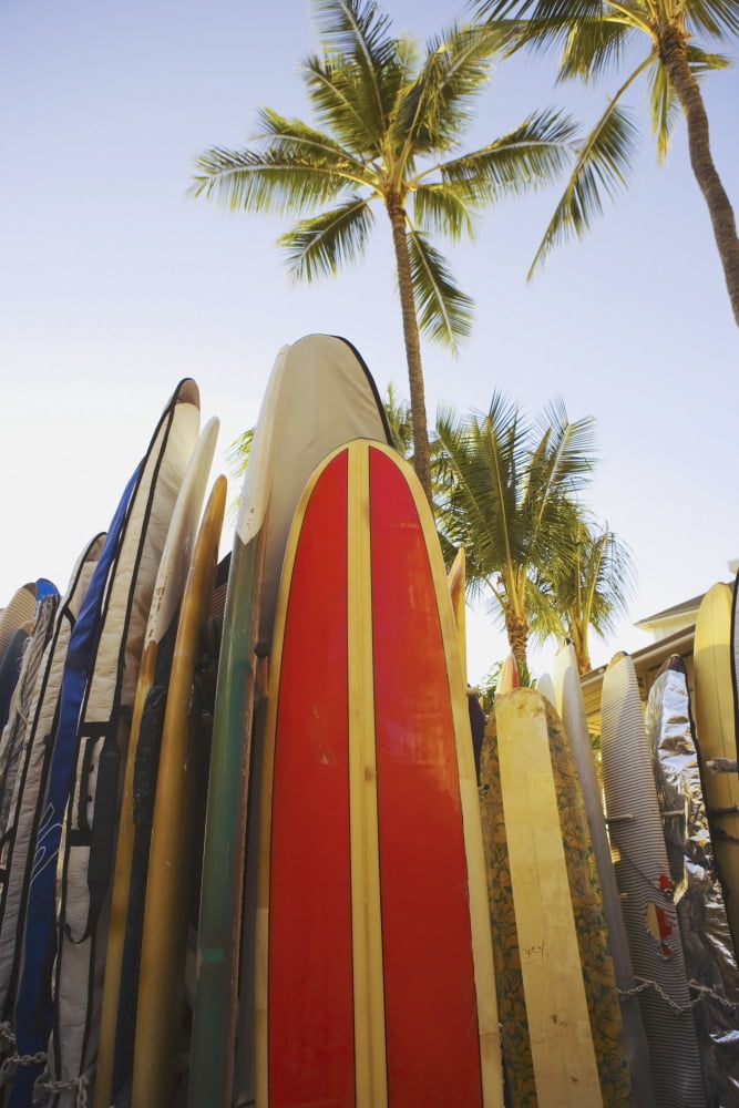 USA Hawaii Oahu Close up view of colorful surfboards in surfboard rack on Waikiki Beach Waikiki Canvas Art - Dana Edmunds Design Pics (22 x 34)