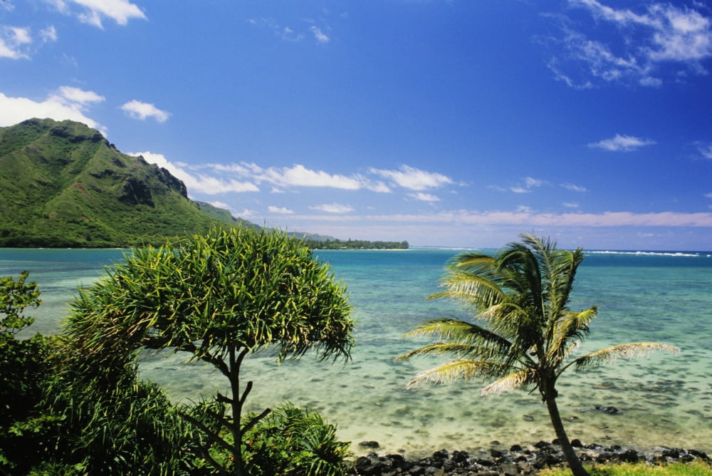 USA Hawaii Oahu Crystal Clear Water And Lush Green Mountains In Distance Kahana Bay Bright Blue Sky Canvas Art - Robert Sablan Design Pics (17 x 11)