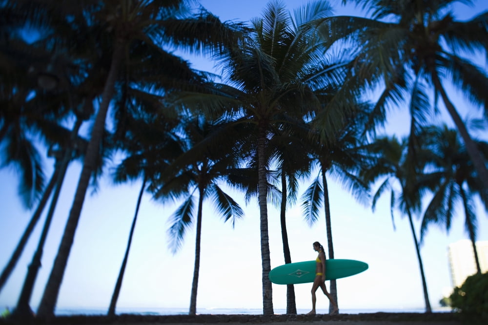 USA Hawaii Oahu Honolulu Woman walking with surfboard Waikiki Canvas Art - Dana Edmunds Design Pics (17 x 11)