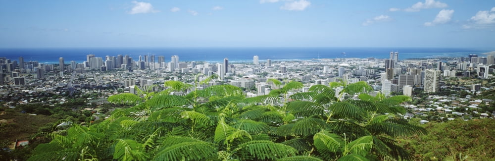 USA Hawaii Oahu Panoramic View Of City Buildings And Greenery From Tantalus Lookout Honolulu Canvas Art - David Cornwell Design Pics (36 x 12)