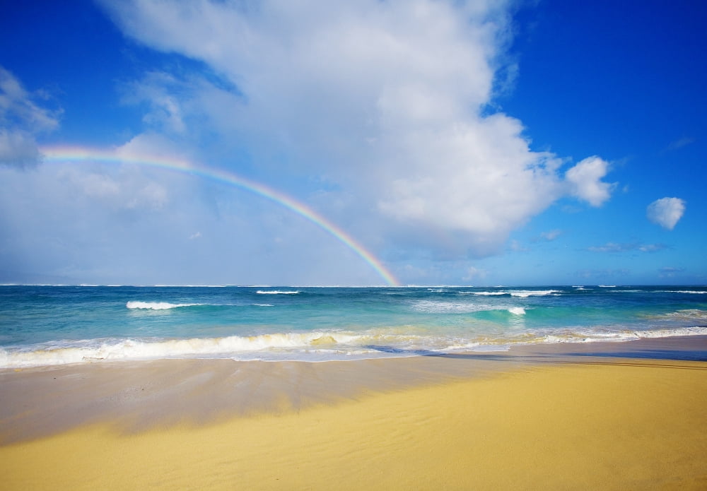 USA Hawaii Rainbow at Baldwin Beach Maui Canvas Art - Ron Dahlquist Design Pics (16 x 11)